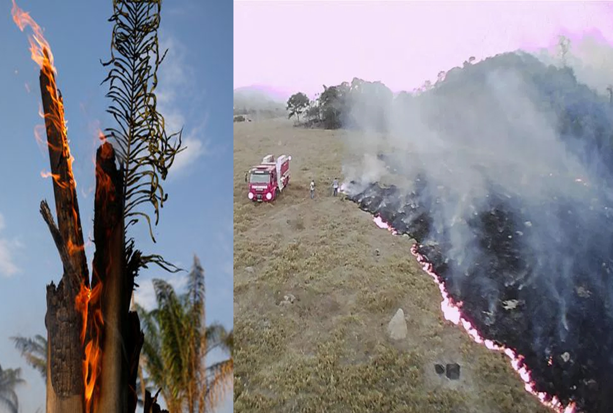 Amazon Rainforest burning: Brazil President tells rest of world not to interfere